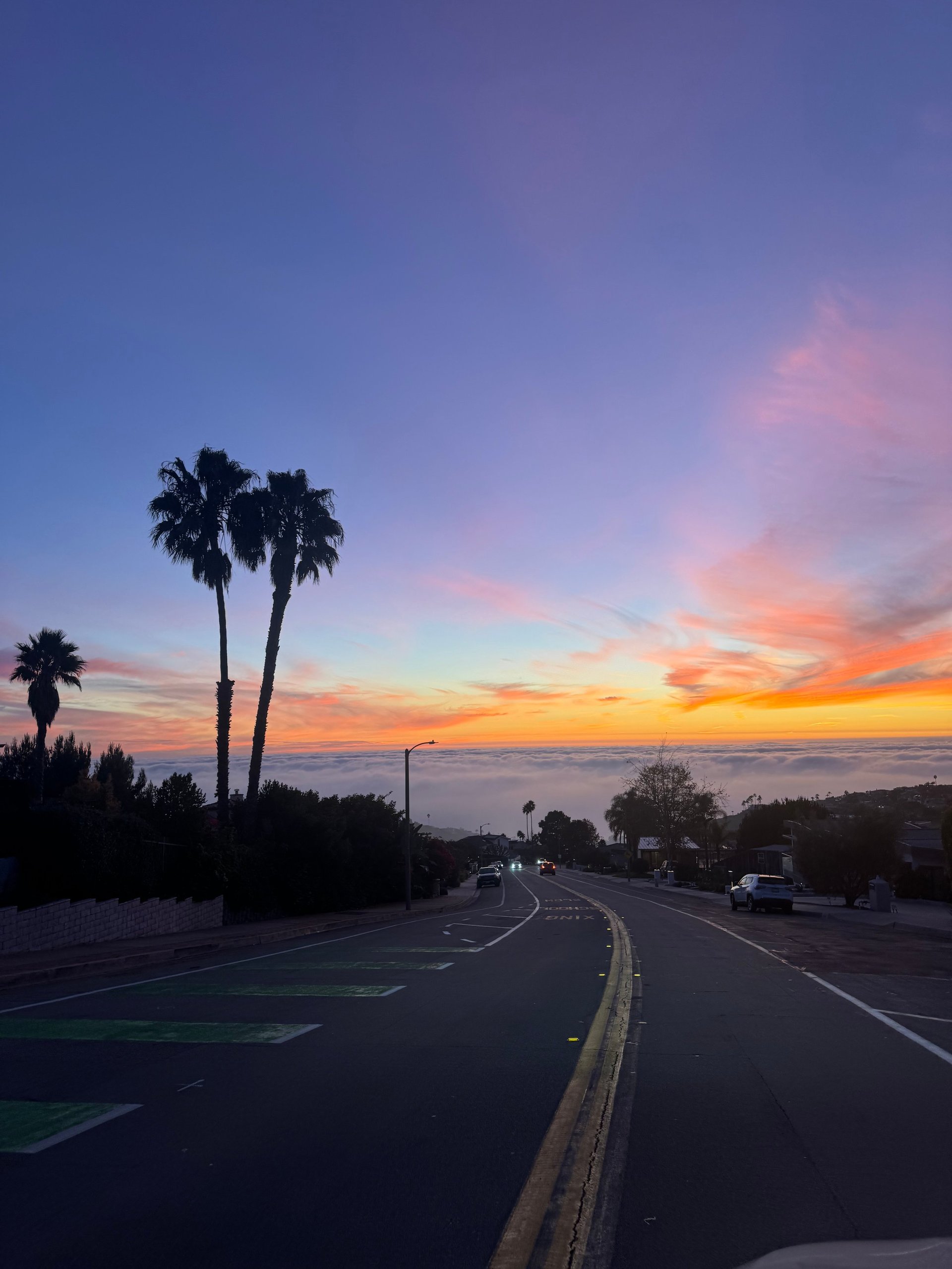 Road with palm trees at sunset overlooking a coastal bay with colorful orange and pink sky