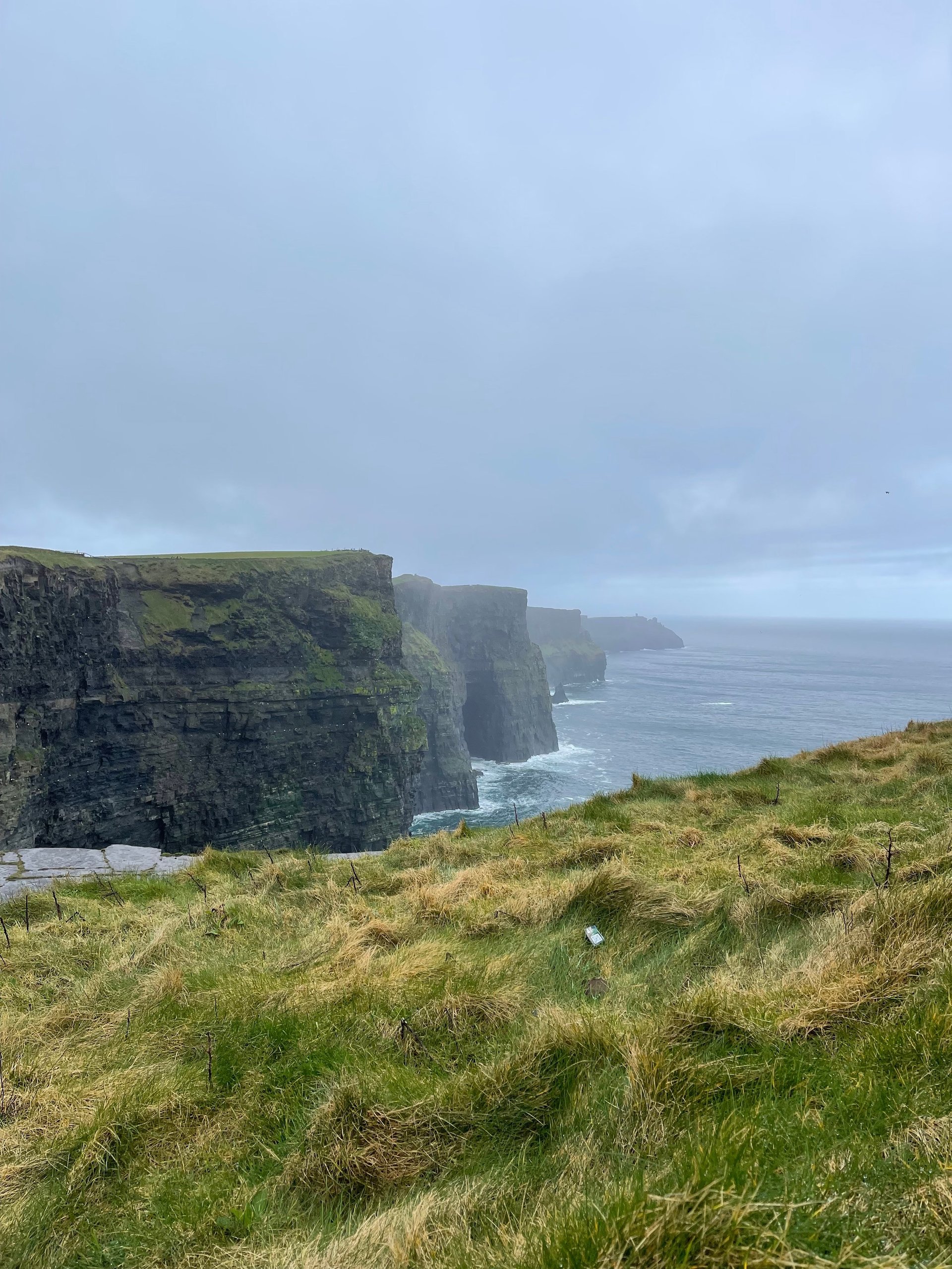 Dramatic coastal cliffs with green grass meadow in foreground, overcast sky, and ocean waves below